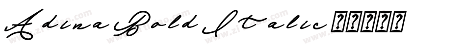 Adina Bold Italic字体转换